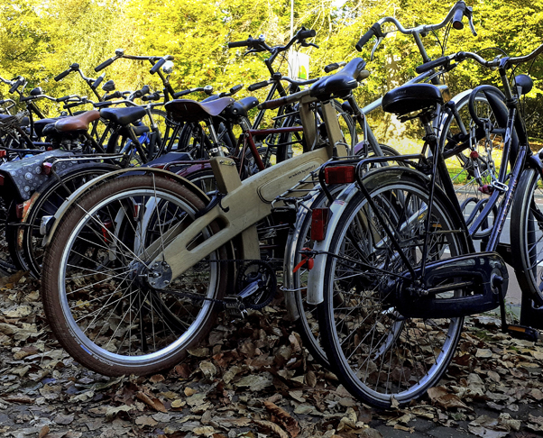 wooden bicycle